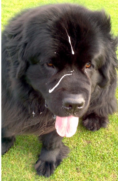 You sure I have something on my head???