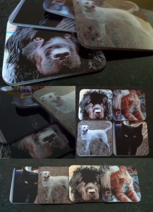 Our New Coasters