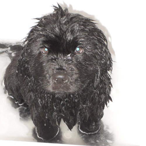 My 1st bath