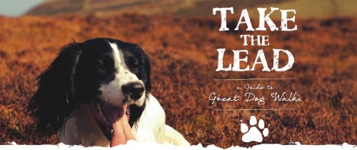 Take The Lead