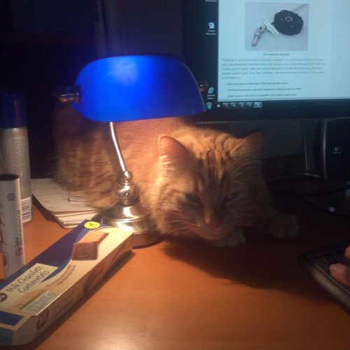 Being a study mate
