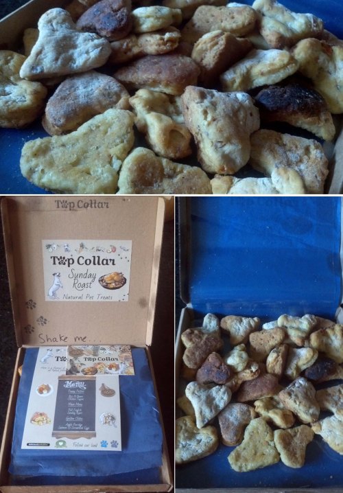 Top Collar Pet Treats
