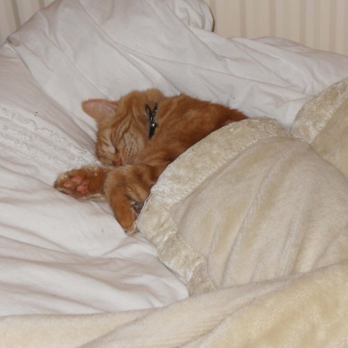 Working as a semi mobile hot-water bottle