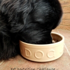 30 Day Pet Nutrition Challenge with Pets at Home – Week 1-2 – Transition to the New Dog Food