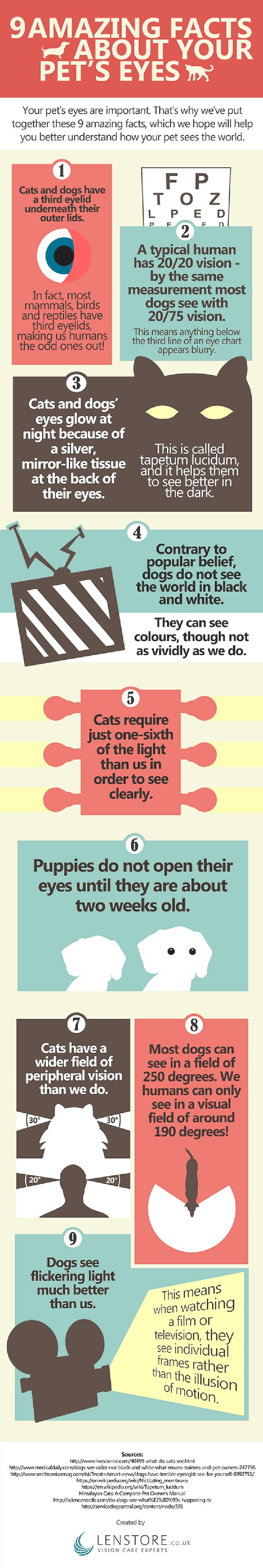9 Amazing Facts About Your Pet