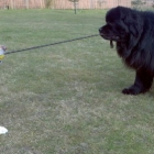 Walk time = Play time