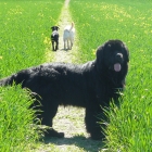 Walking in sunshine