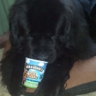 Ben & Jerry's - I'm Loving It