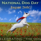 National Dog Day - August 26th