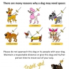 #YellowDogUK – Same Dogs Need Space