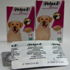 Pet Health Diary – Worming