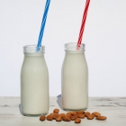 Homemade Almond Milk