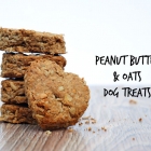 Peanut Butter & Oats Dog Treats