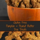 Gluten Free Pumpkin & Peanut Butter Dog Treats