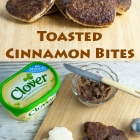 Toasted Cinnamon Bites
