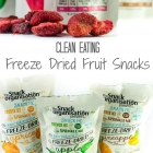 Clean Eating – Freeze Dried Fruit Snacks