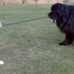 Walk time = Play time