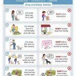 Infographic – Dog and Baby Safety