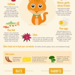 Infographic – What not to feed your pets