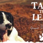 UK Best Dog Walking Spots – Take The Lead