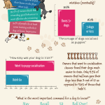 Infographic – Dog Training – Facts and Figures