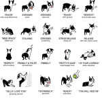 Doggie Language 1o1