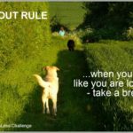 Aviva Stress Less Challenge: Week 3