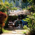 How to hold a successful garden party