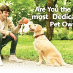 On the lookout for UK’s Most Dedicated Pet Owner