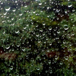 Weekly Photo Challenge: Refraction