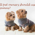 Why all pet owners should use PetsPyjamas?