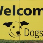 Dogs Trust | Behind the Scenes