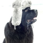 The Alphabet Project | E is for Eskimo