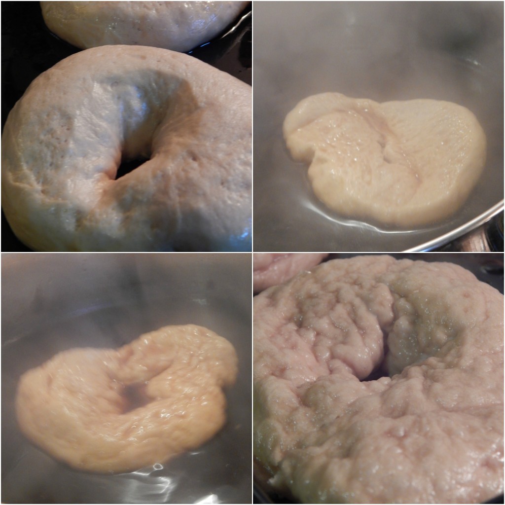 The mystery of the humble Bagel discovered - Sesame Seed Bagels