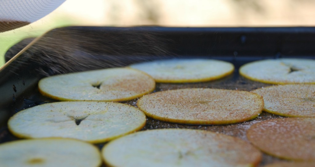 Healthy Snacks - Home Baked Apple Chips