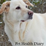 Pet Health Diary – Body Mass