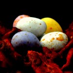 Easter Inspired Chocolate Cornflake Nests