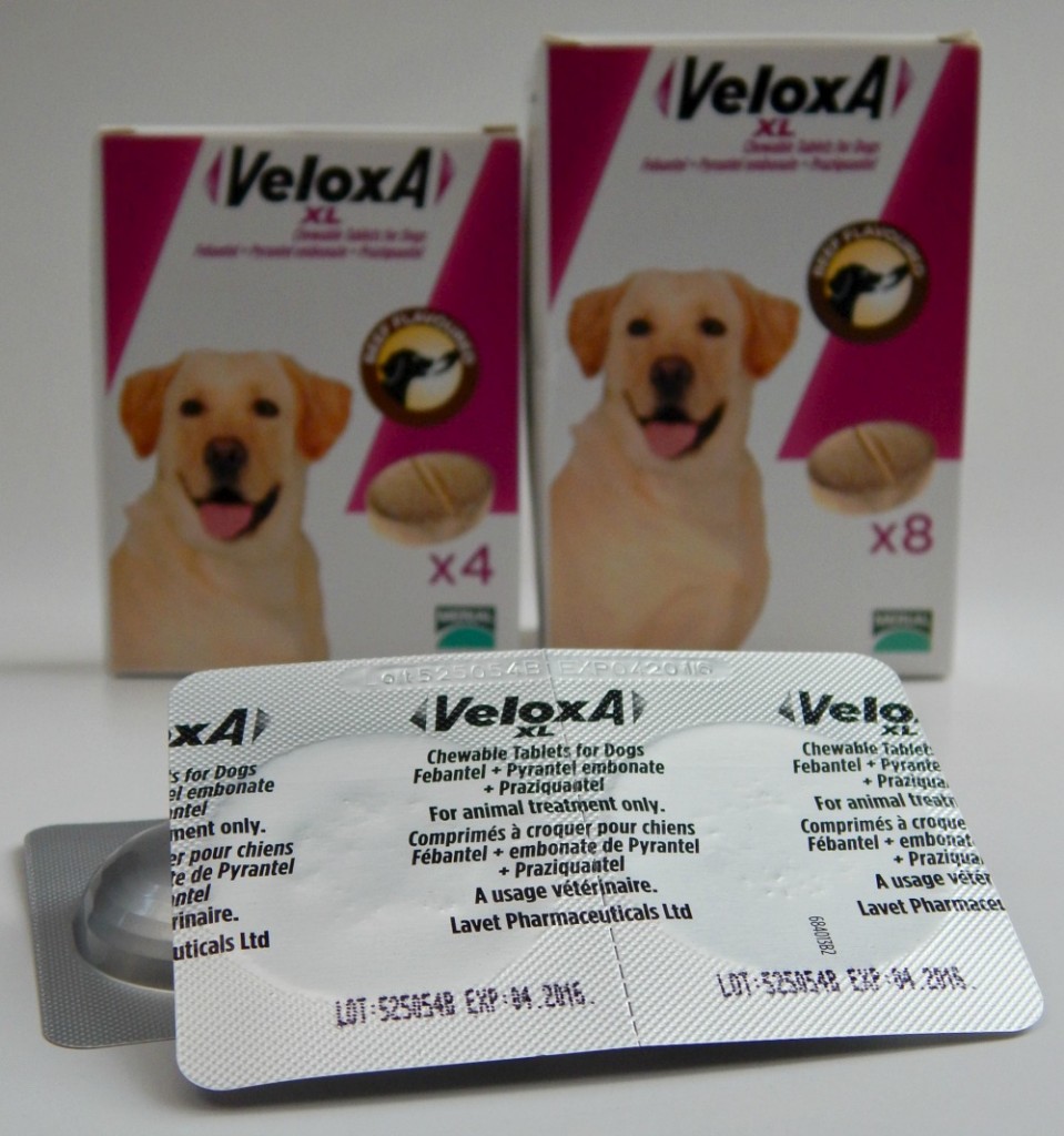 Pet Health Diary – Worming VeloxA