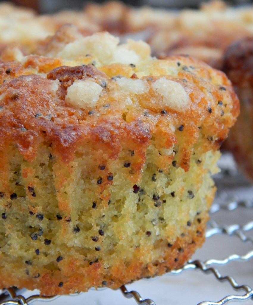 White Chocolate Lemon and Poppy Seed Muffins
