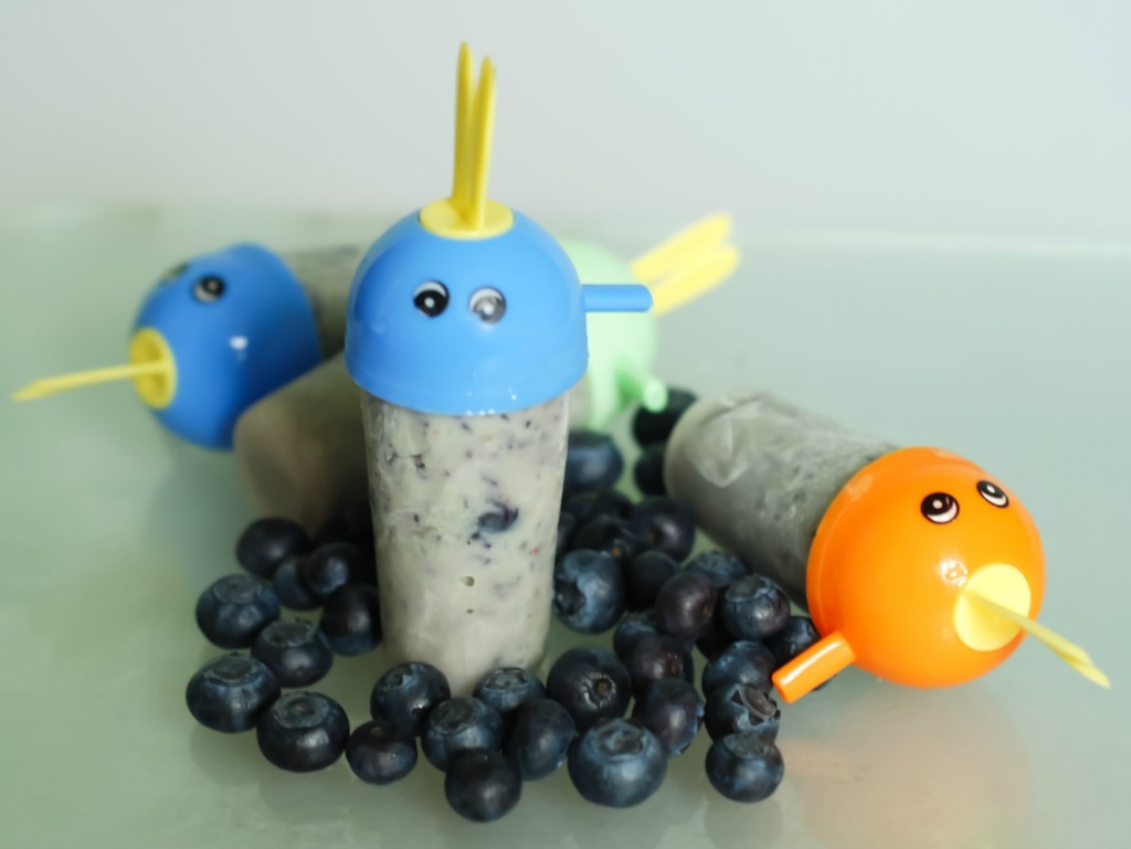 Homemade Blueberry Ice Lollies