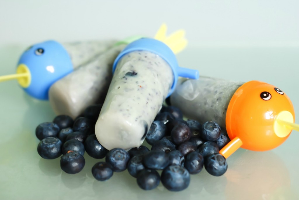Homemade Blueberry Ice Lolly