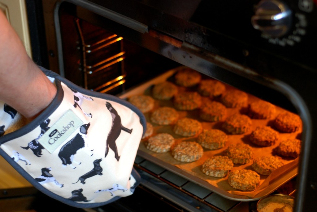 Sardine & Oats Dog Cookies
