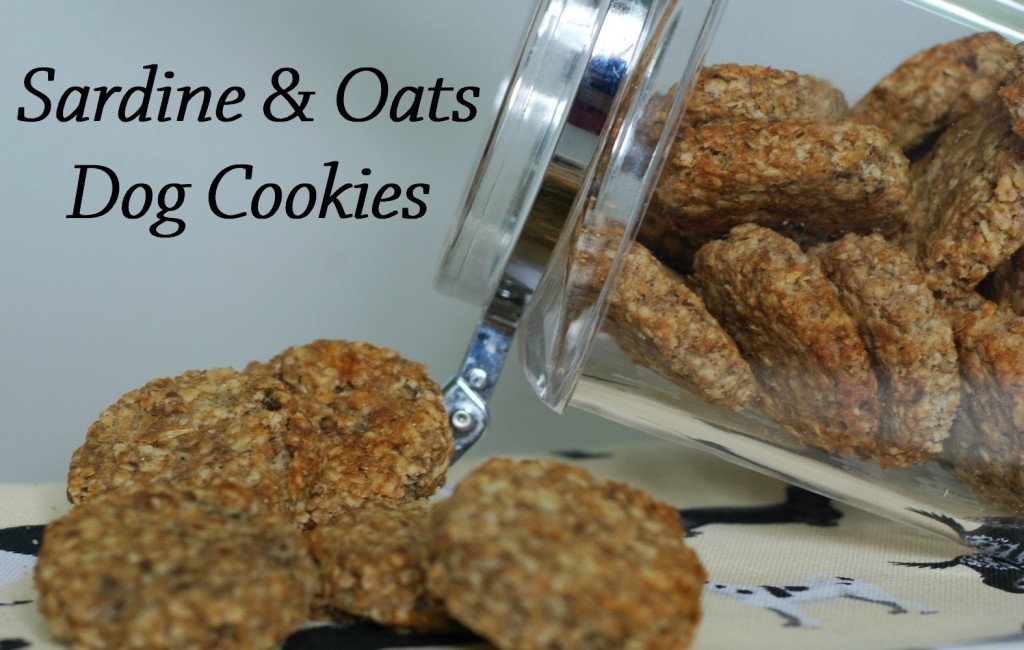 #Win with AGA Cookshop + Sardine & Oats Dog Cookies