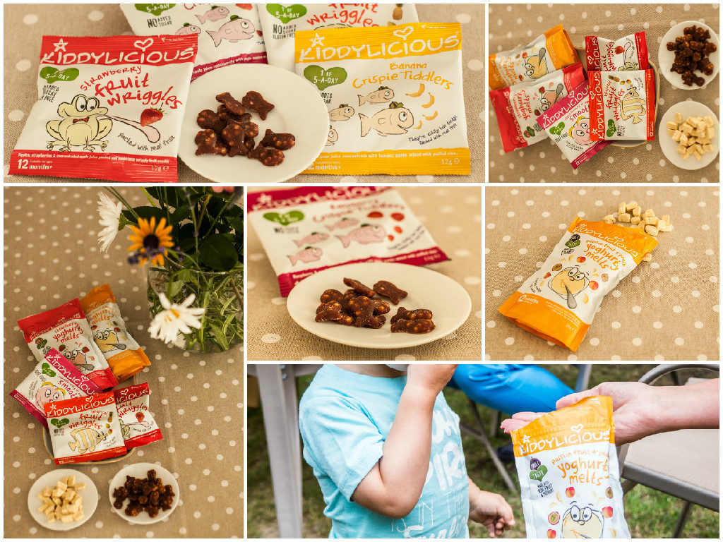 5. Toddler Life – My First Birthday