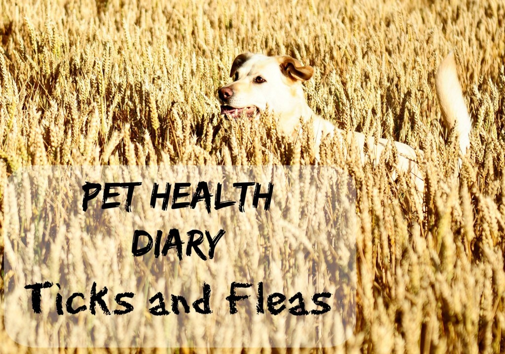 Pet Health Diary - Ticks and Fleas