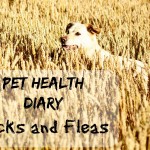 Pet Health Diary – Ticks and Fleas