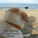 Pet Travel – UK Dog Friendly Hotels