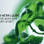 Fresh Herbs Guide – what goes well with what?