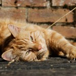 Wordless Wednesday #3