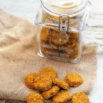 Homemade Turmeric and Fish Gourmet Dog Treats